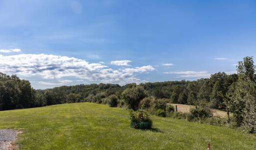 Field View