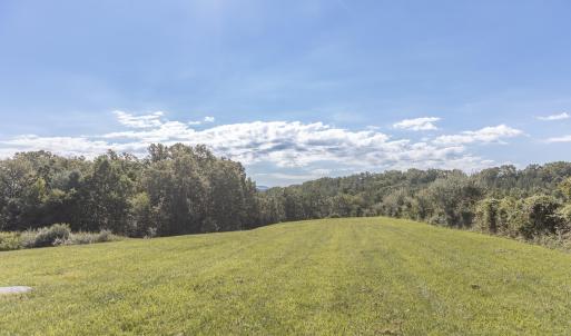 Field
