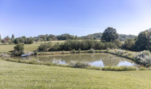 Pond