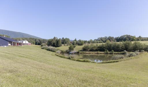 Pond