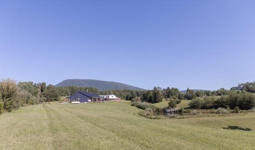 Field View