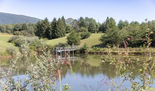 Pond