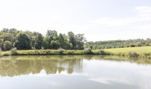 Pond View