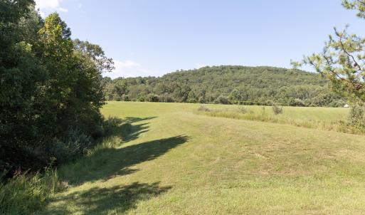 Field View