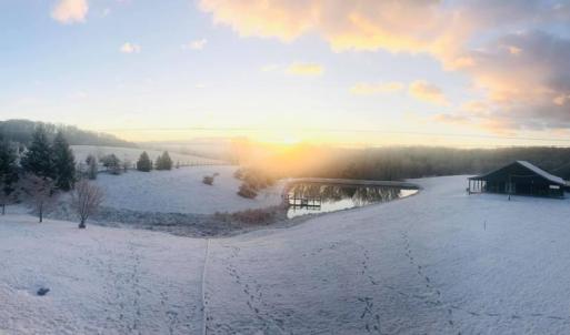Winter View