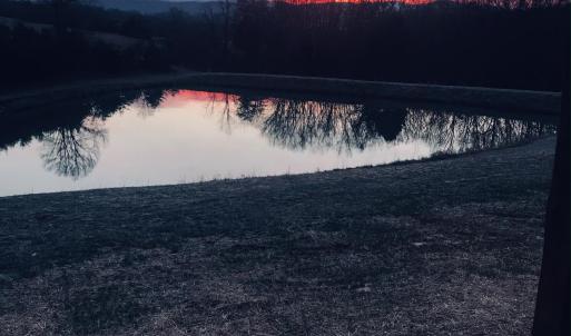 Sunrise View