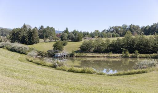 Pond View
