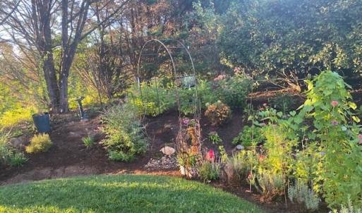 Garden 3