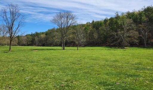 pasture