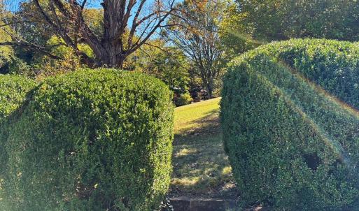 Pretty Mature Landscaping with stone wal