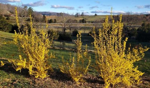 4b65e6c2-fa04-4c5b-8e20-135f950dc92b