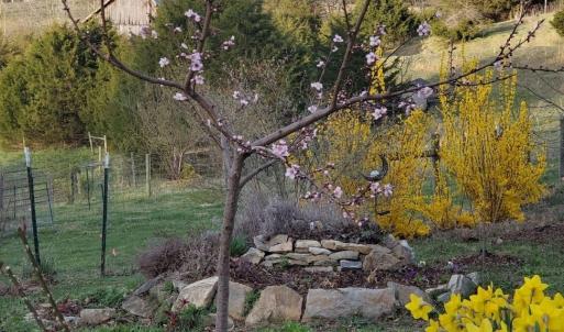 4c47b159-56c2-4f4f-b4ee-5f3fad75a7c8