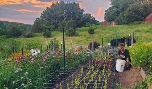 7a75e4b8-f81d-40af-8778-d88bd1ada1c8