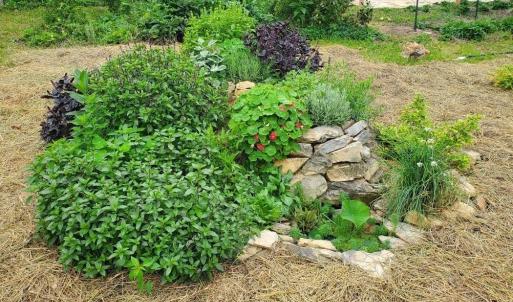 8acb99c5-4dc7-4c11-907f-38e8a0898c9b