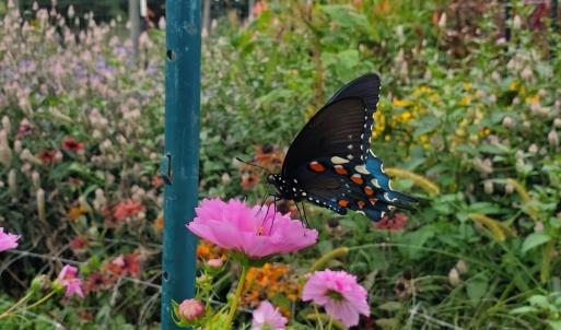 8bac39cc-d83e-489e-92b3-5b90bd5ddbda