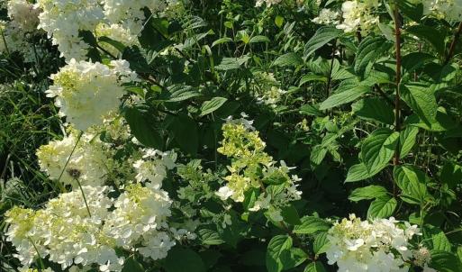 8df1672a-a6bb-49f6-88a5-54a74b551039