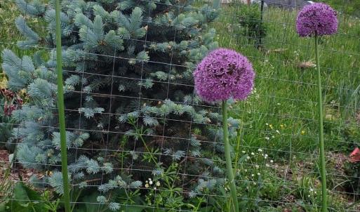 34dfc0ec-2738-41fa-b2d6-22dcf47bf8f2