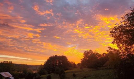 525aa4ec-4c25-45f0-aaa6-f6cd17257877