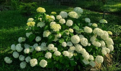 9615b784-f61d-4df3-93da-d212c090fd94