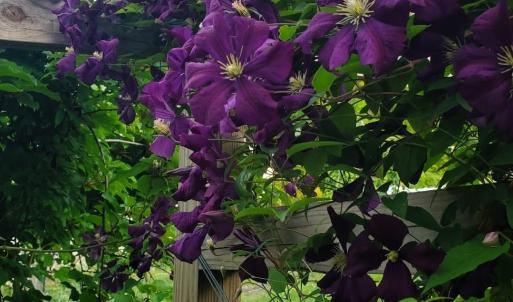 735451e9-22ab-47a3-8b89-08c34fecb49a