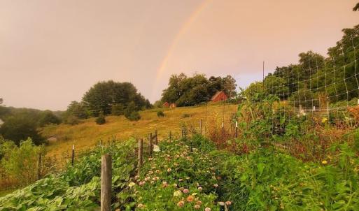 86631681-eb60-4de1-a603-dd9f3f9a35a7