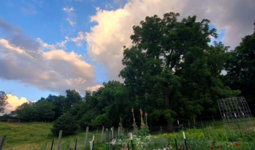 b0181ef9-b3ef-499c-bc37-acdf90546ee6