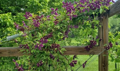 d21cfdcb-b566-4138-b419-dd8bf7073df1