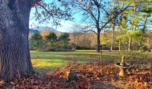 backyard with oak tree and House Mtn