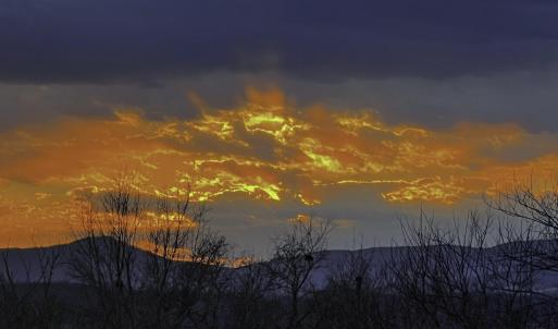 63DB7D67-7EC4-44CE-9916-AD5A008F6FCE-IMG