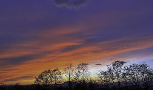 4B291843-7E23-4E82-B2E5-789A6EDD9E2F-IMG