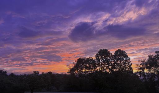 27C2A8BE-9571-410E-8F1A-0732DD7115F3-IMG