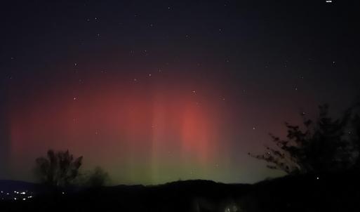 2C5599C3-BD59-4541-8C96-1D26B89201BD-IMG