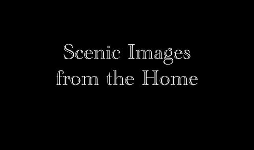 Scenic Images from Home