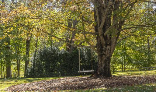 Side entry to kitchen