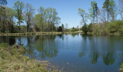 Photo #73 of SOLD property in 500 David Bruce Ave, Charlotte Court House, VA 22.9 acres