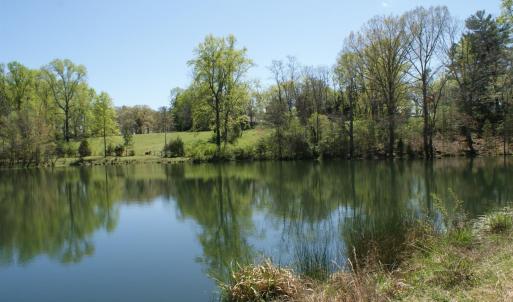 Photo #71 of SOLD property in 500 David Bruce Ave, Charlotte Court House, VA 22.9 acres