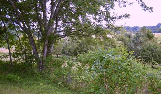 Photo #12 of SOLD property in 1830 Rock Cliff Road, Bedford, VA 6.0 acres