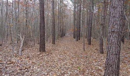Photo #18 of SOLD property in 10378 Spring Mill Road, Concord, VA 42.4 acres