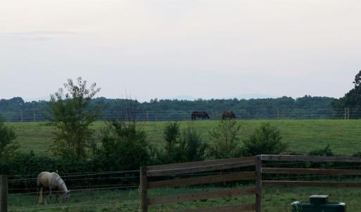 Photo #37 of SOLD property in 225 Cattle Lane, Evington, VA 40.8 acres