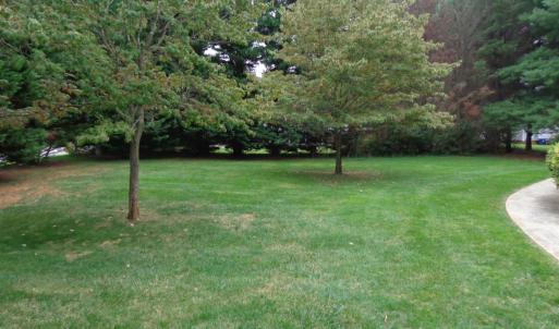 Private green space  area in front of townhome