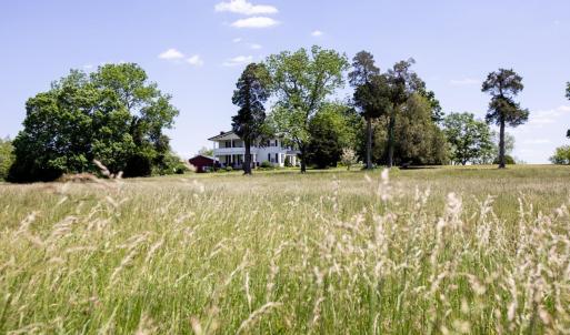 Photo #50 of 1501 Saxkey, Drakes Branch, VA 86.0 acres
