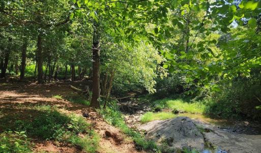 Photo #13 of 1148 Saddle Club Drive, Goode, VA 24.2 acres