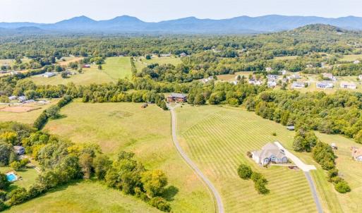 Photo #7 of 1148 Saddle Club Drive, Goode, VA 24.2 acres