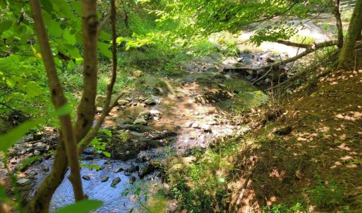 Photo #12 of 1148 Saddle Club Drive, Goode, VA 24.2 acres