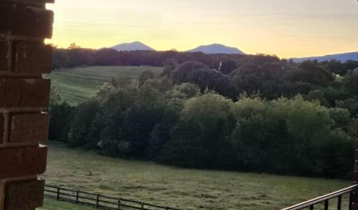 Photo #11 of 1148 Saddle Club Drive, Goode, VA 24.2 acres
