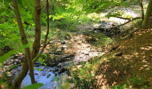 Photo #12 of 1148 Saddle Club Drive, Goode, VA 24.2 acres