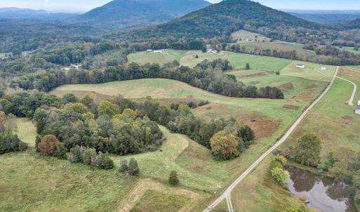Photo #29 of 1095 Fox Lane, Moneta, VA 51.2 acres