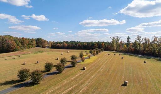 Photo #70 of 1050 Cary Shop Road, Burkeville, VA 104.0 acres
