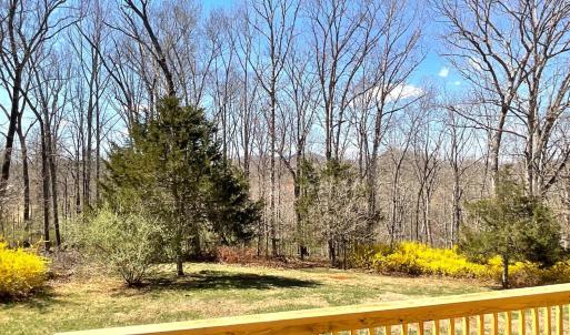 Photo #28 of 143 Lake Drive, Amherst, VA 0.5 acres
