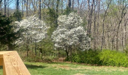 Photo #30 of 143 Lake Drive, Amherst, VA 0.5 acres